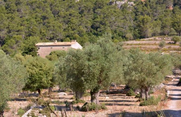 Unique mallorquin possession for sale in the heart of the Sierra de Tramuntana