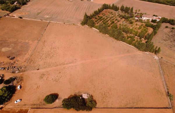 Buildable land for sale in Muro, Mallorca