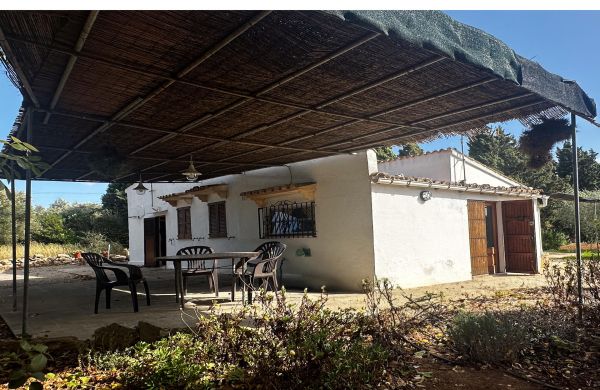 Finca en Pollensa en venta