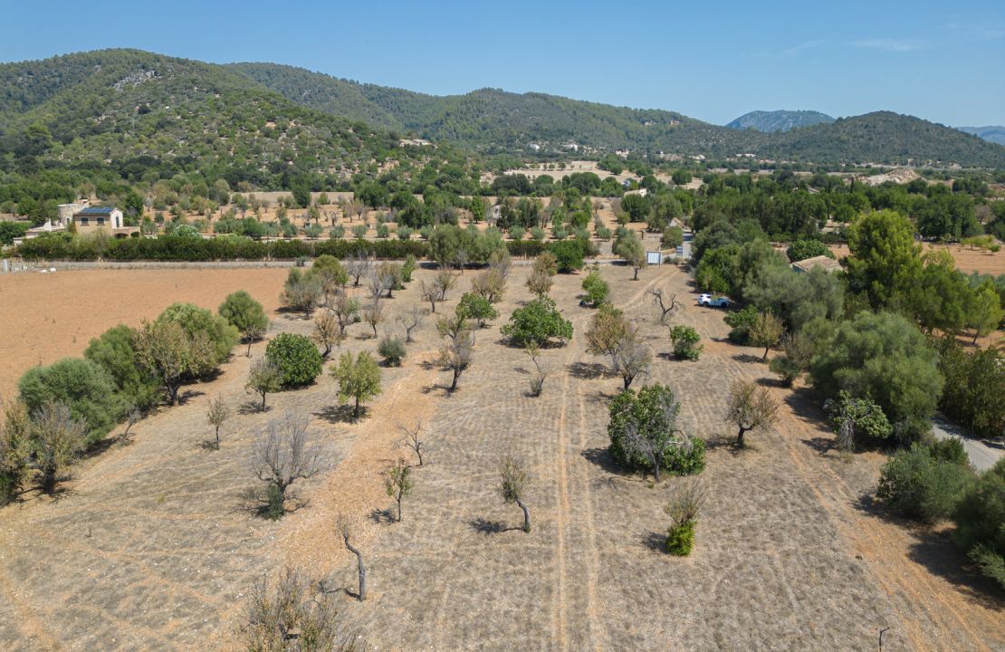 Terreno edificable en el campo de Campanet en venta con licencia en vigor para empezar el proyecto