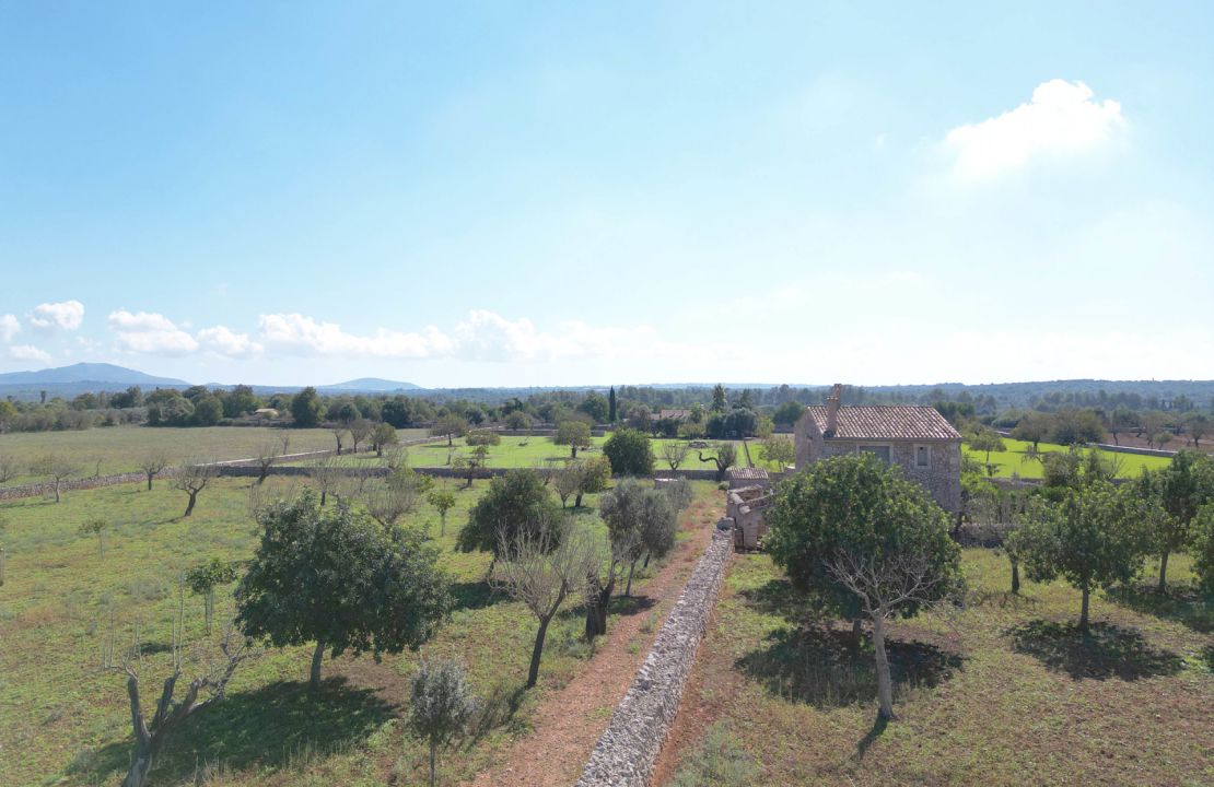 Finca en venta finca tradicional con 15,600 metros de terreno en Maria de la salut.