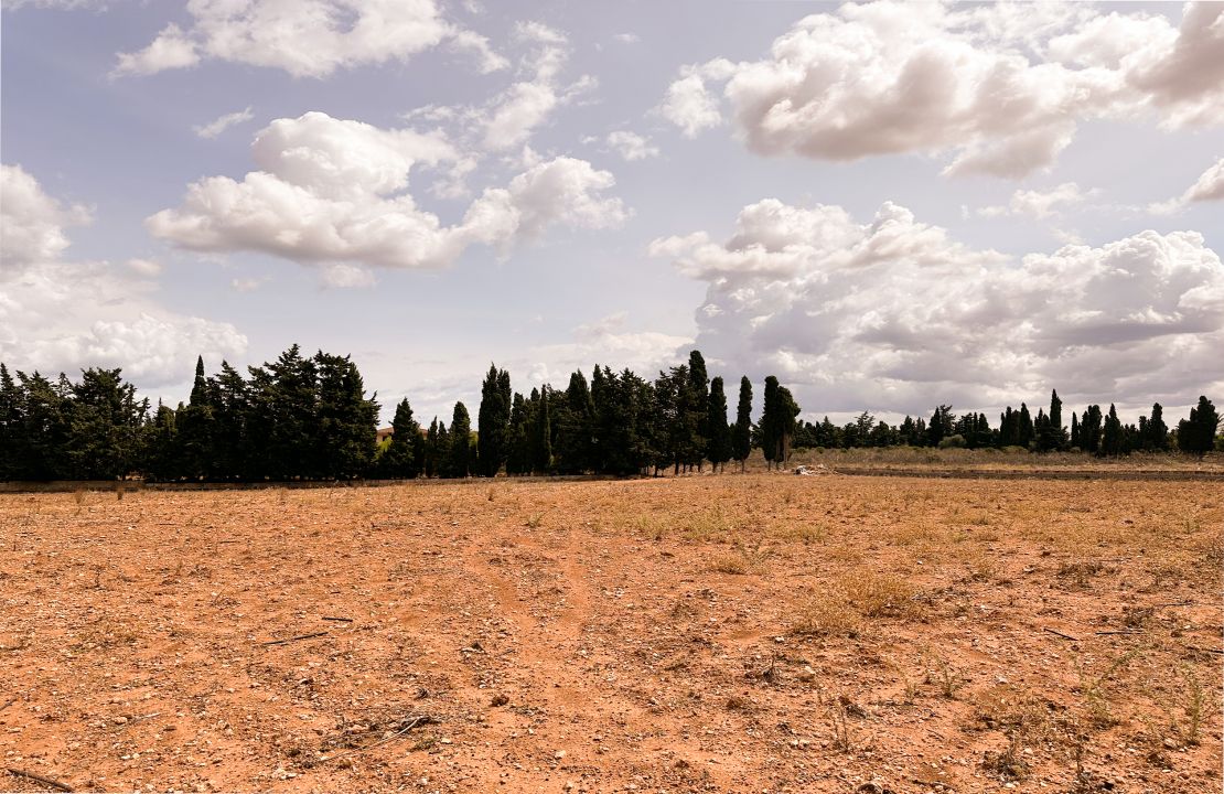 Terreno edificable en venta en Muro, Mallorca