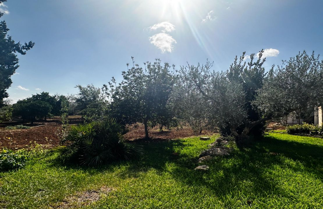 Finca bei Pollensa zu verkaufen