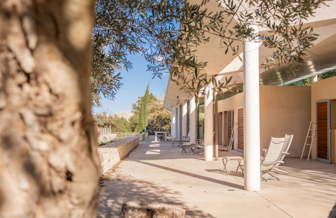 Impresionante finca de lujo en alquiler ubicada en medio de un olivar en las afueras de Pollensa