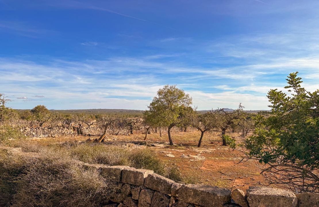 Terreno en venta en Santa Margalida