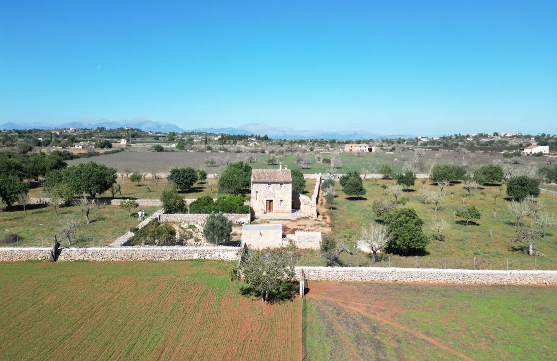 Traditionelles Finca-Projekt auf Mallorca, Maria de la Salut.