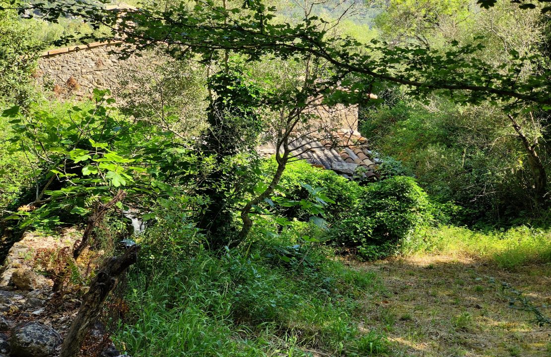 Projekt für ein charmantes Haus in der Nähe von Pollensa, umgeben von Natur.