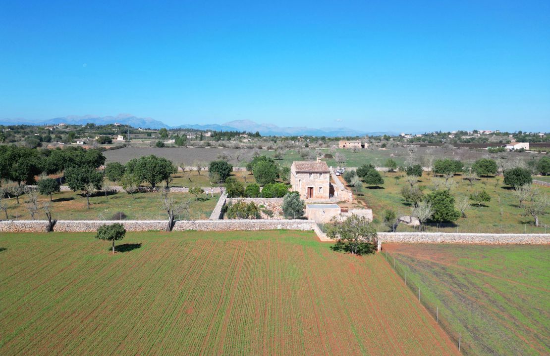 Finca en venta finca tradicional con 15,600 metros de terreno en Maria de la salut.