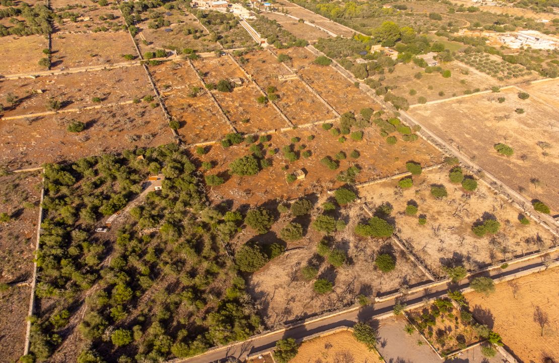 Terreno en venta en Santa Margalida, Mallorca