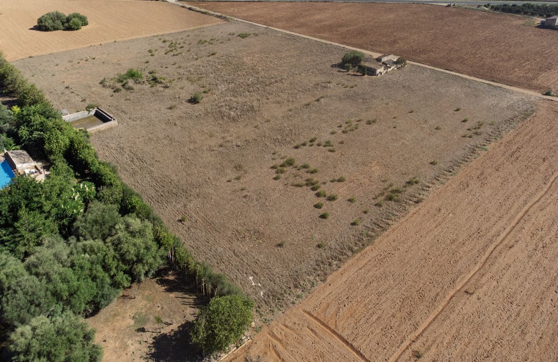 Land for sale in Mallorca in Llubi, Mallorca