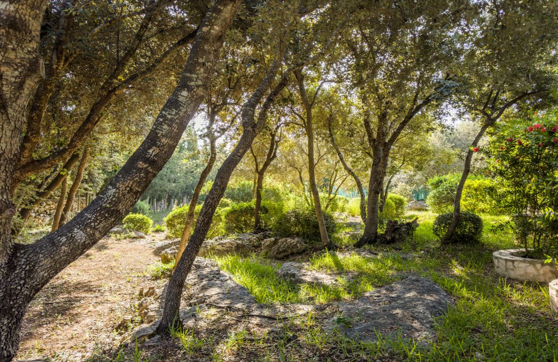 Finca con ETV y piscina en venta en Pollenca, Mallorca