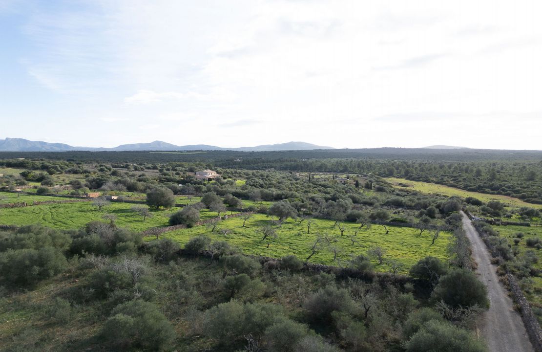 Terreno en venta en Santa Margalida, Mallorca – con proyecto básico