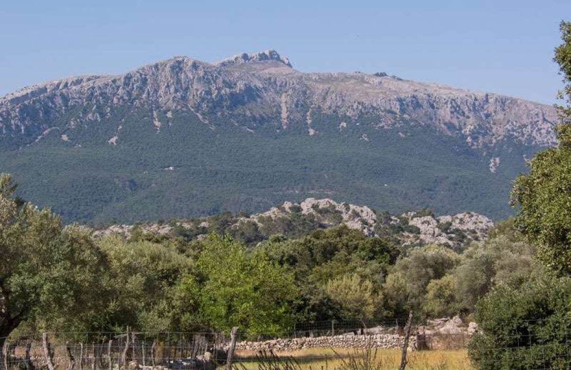 Unique mallorquin possession for sale in the heart of the Sierra de Tramuntana