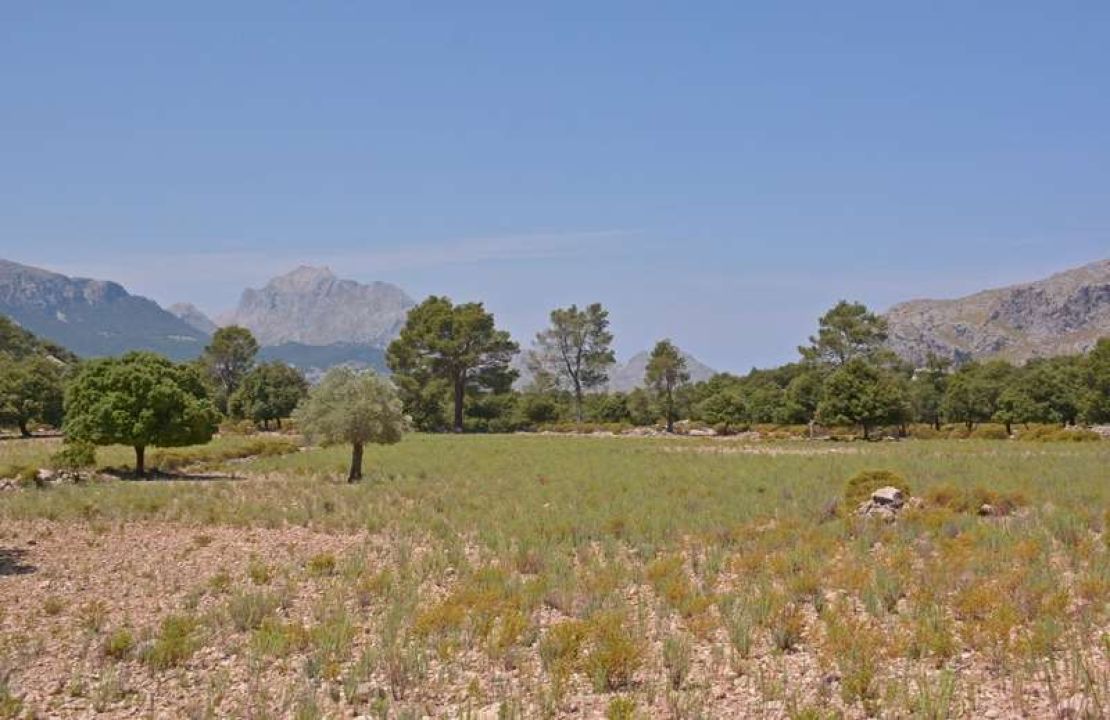 Unique mallorquin possession for sale in the heart of the Sierra de Tramuntana