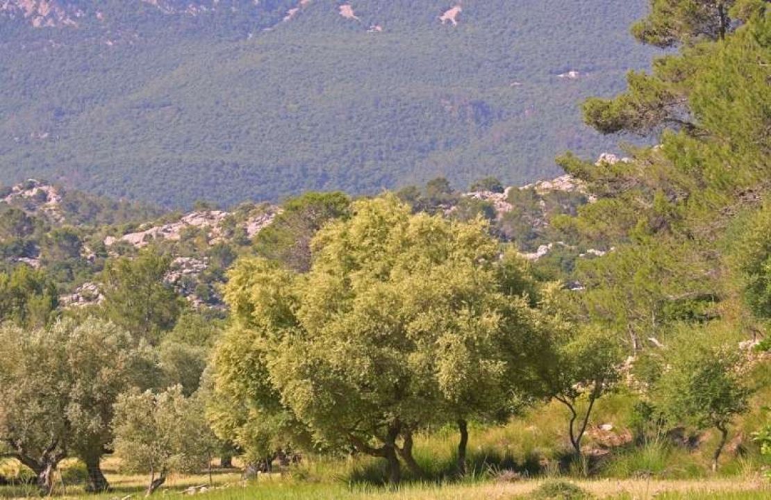 Unique mallorquin possession for sale in the heart of the Sierra de Tramuntana