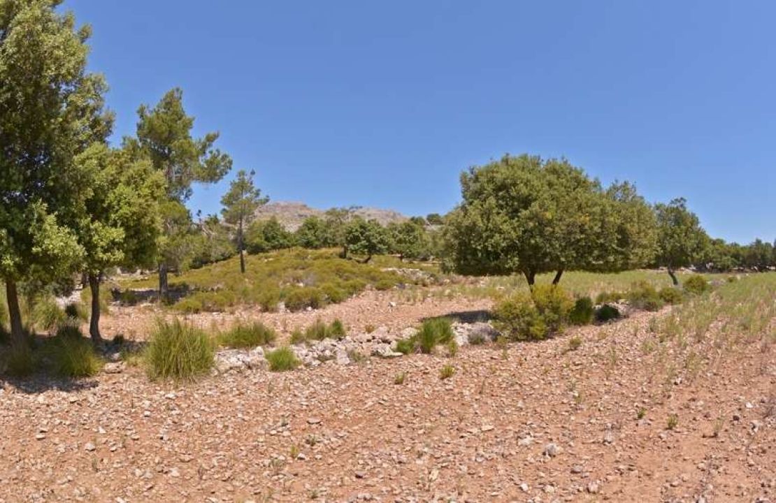 Unique mallorquin possession for sale in the heart of the Sierra de Tramuntana