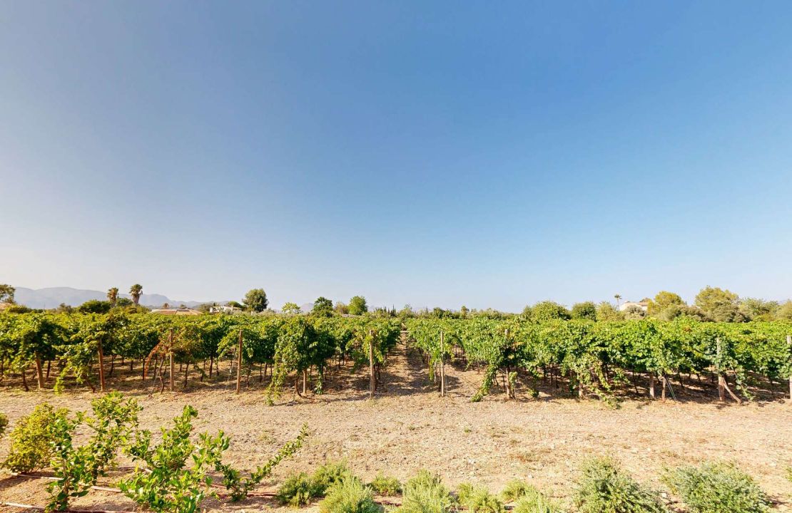 Luxury country house with its own vineyard for sale in Alcudia
