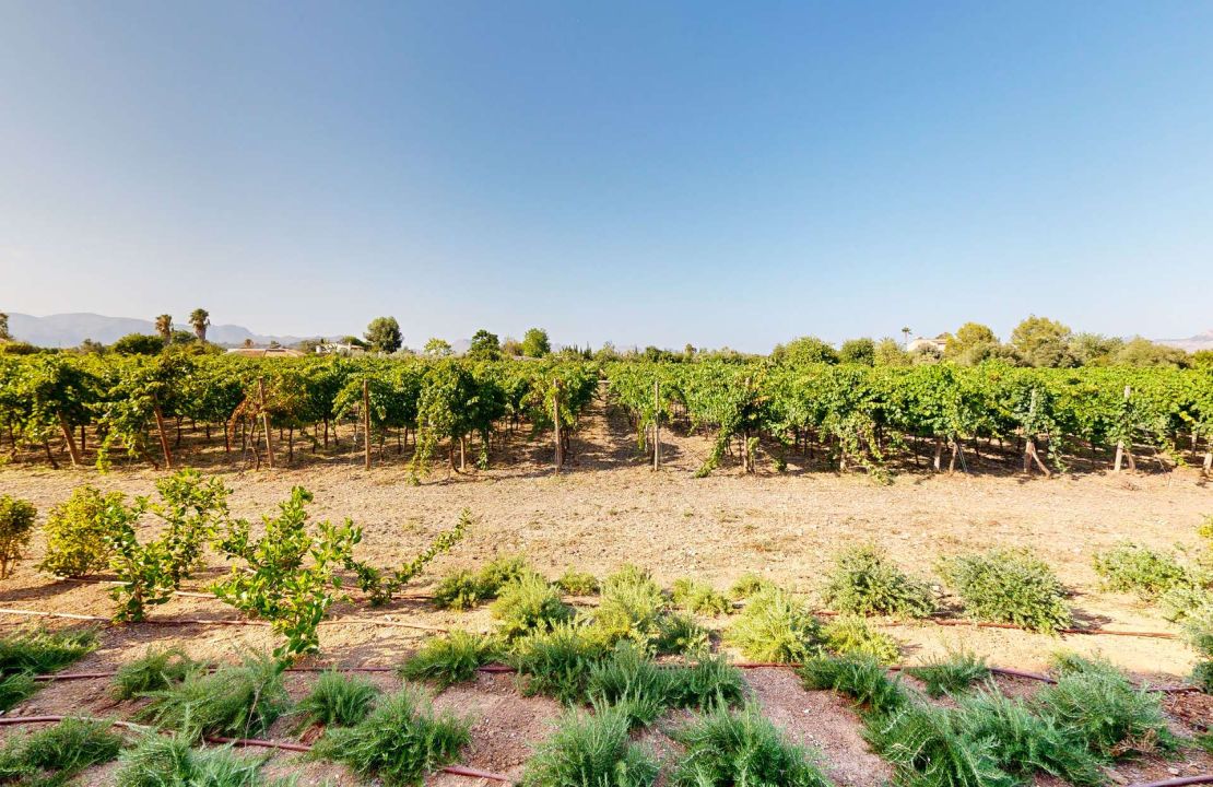 Luxury country house with its own vineyard for sale in Alcudia
