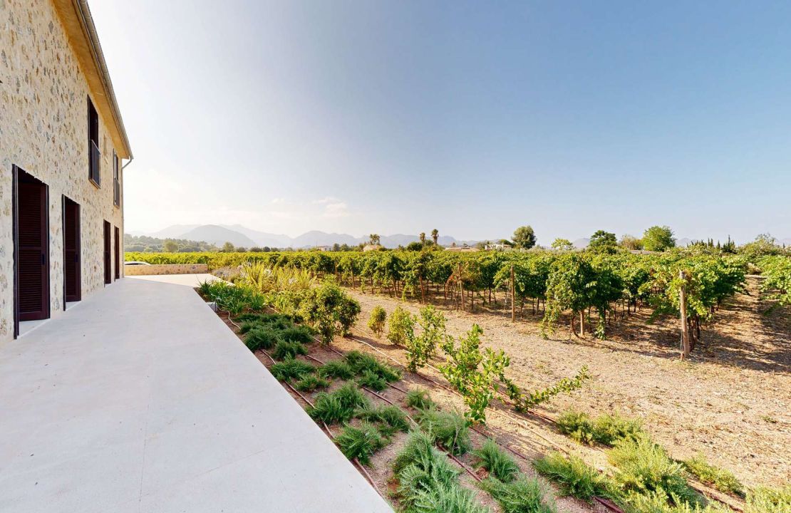 Luxury country house with its own vineyard for sale in Alcudia