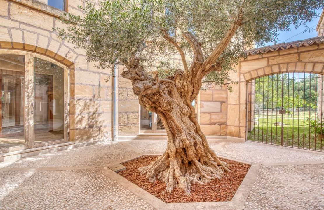 Finca with rental license in Alcudia, Mallorca with stunning views, tennis court and pool for sale