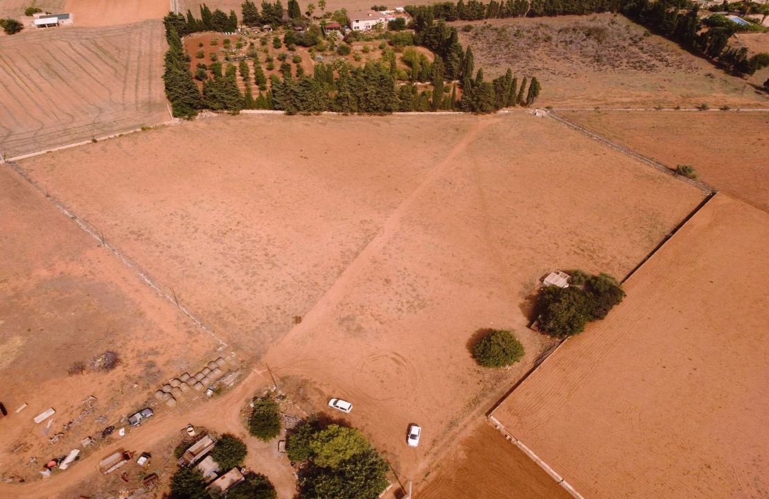 Buildable land for sale in Muro, Mallorca
