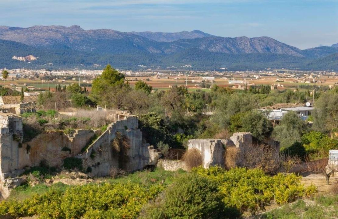 Buildable land for sale in Muro, Mallorca