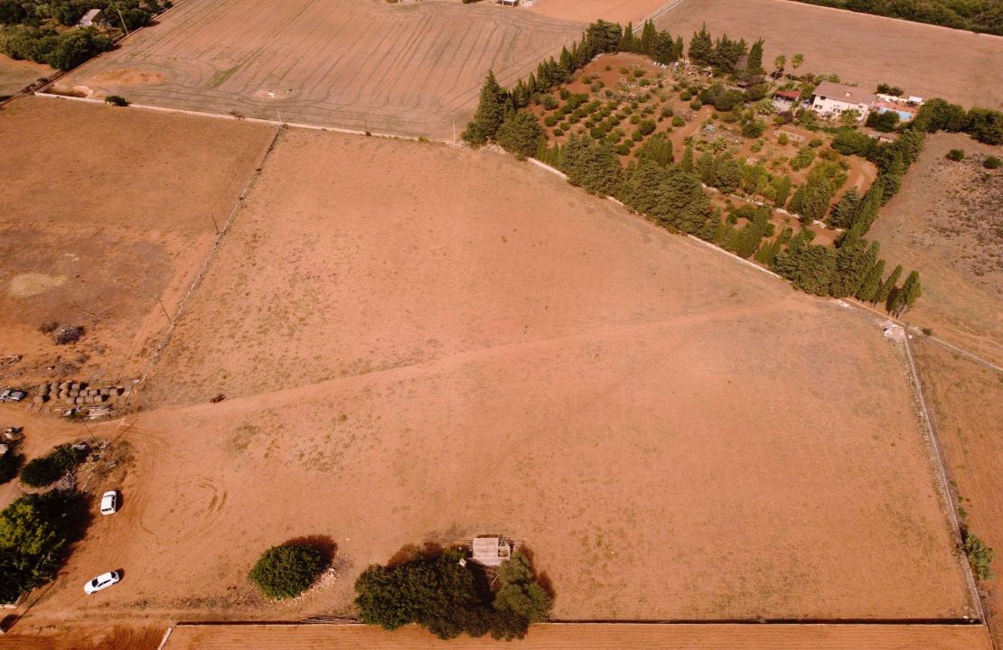 Buildable land for sale in Muro, Mallorca