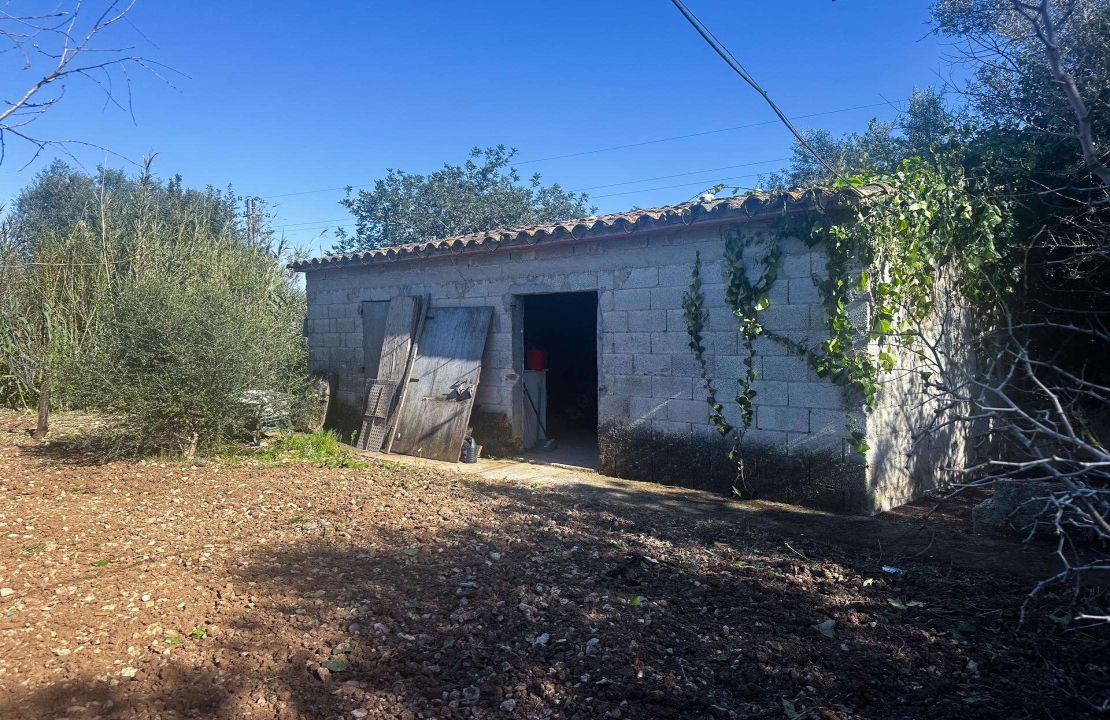 Charming Finca with Pool just 5 Minutes Drive to Pollensa