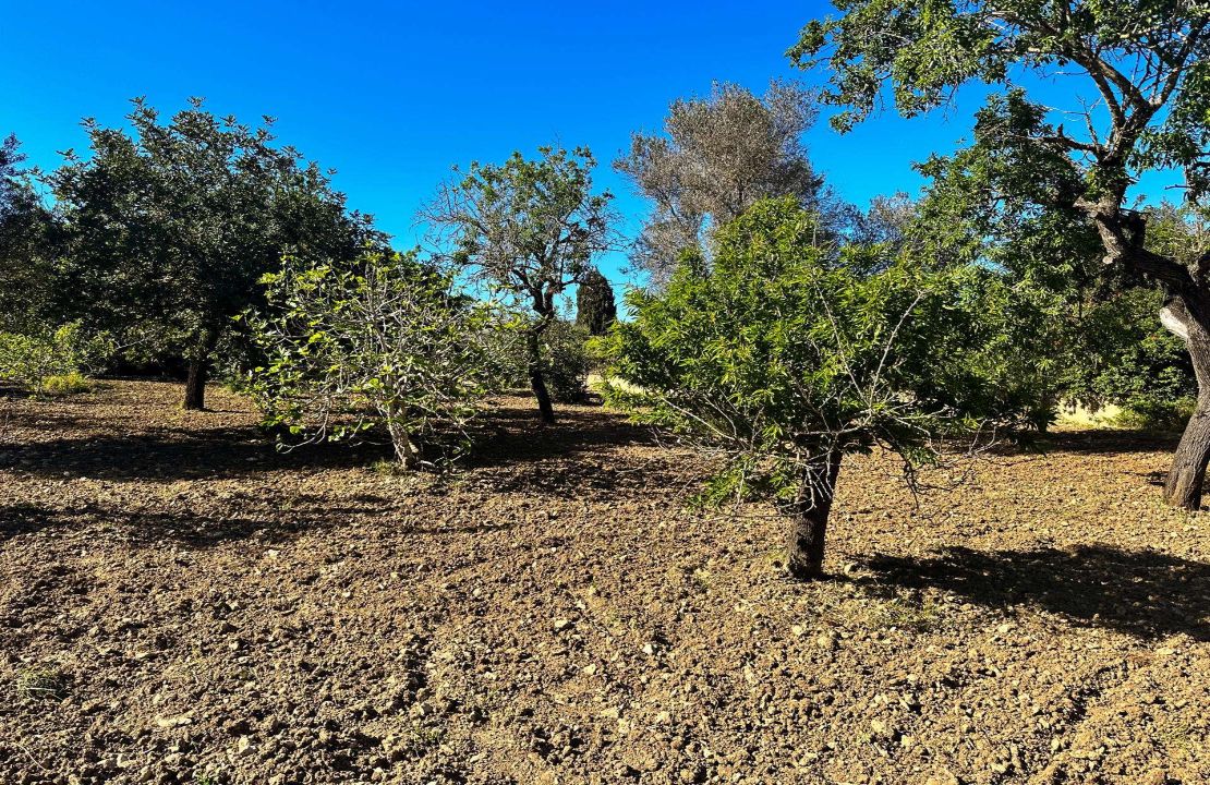 Charming Finca with Pool just 5 Minutes Drive to Pollensa