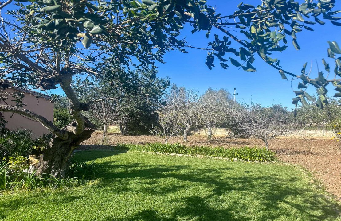 Charming Finca with Pool just 5 Minutes Drive to Pollensa