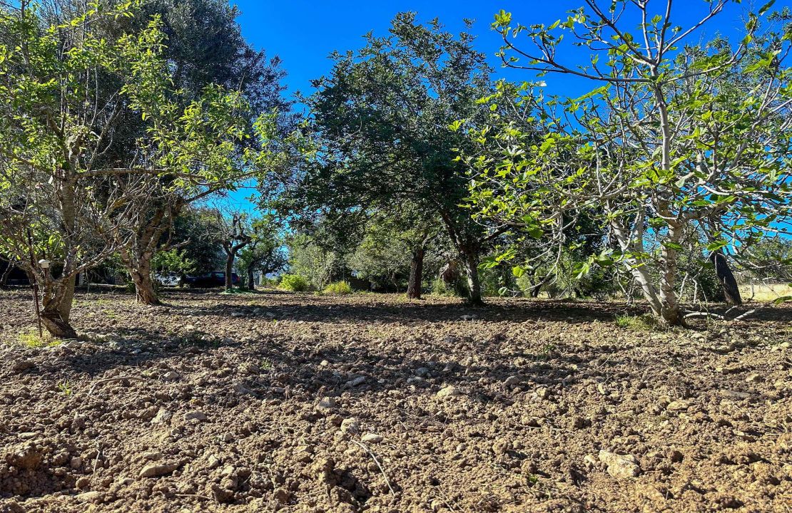 Charming Finca with Pool just 5 Minutes Drive to Pollensa