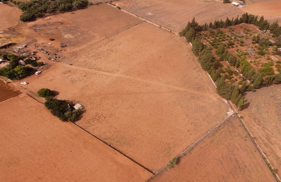 Buildable land for sale in Muro, Mallorca