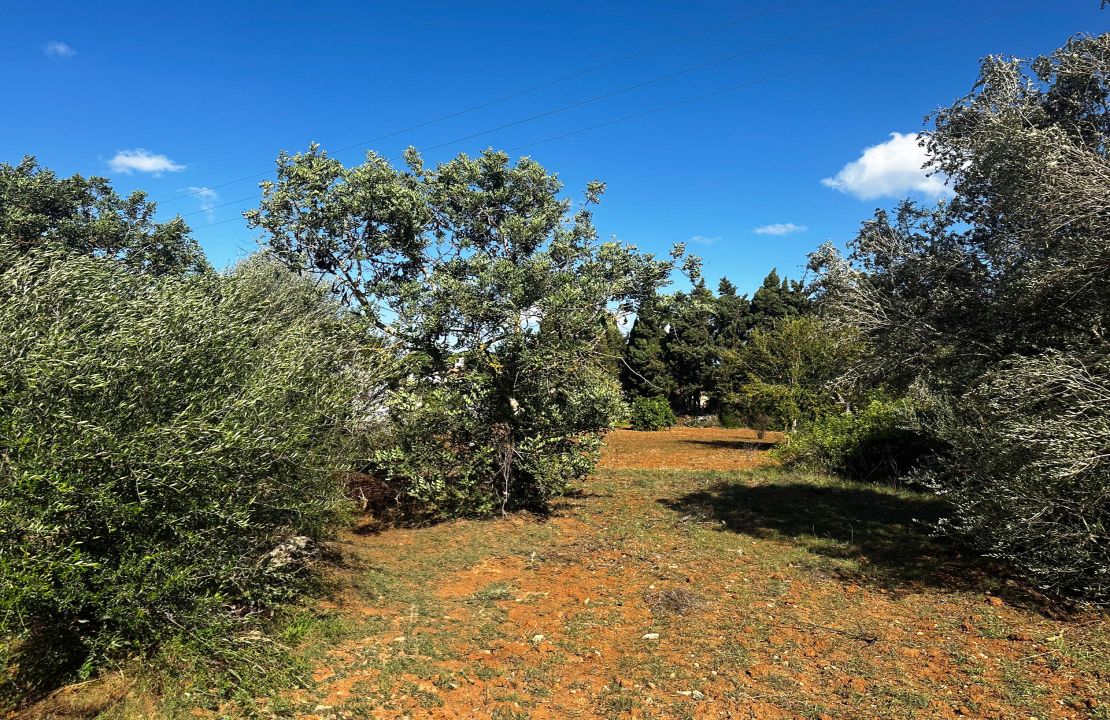 Finca bei Pollensa zu verkaufen