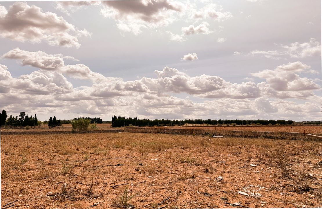 Terreno edificable en venta en Muro, Mallorca