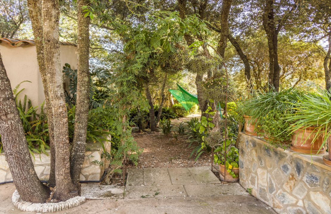 Finca con ETV y piscina en venta en Pollenca, Mallorca