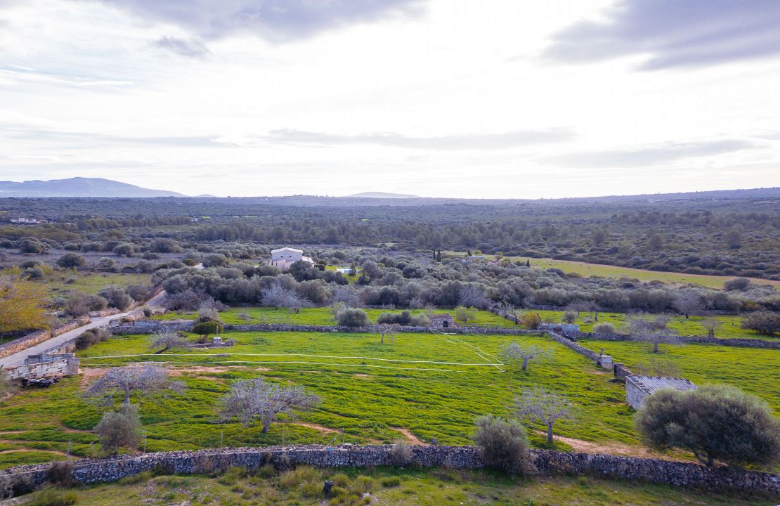 Terreno en venta en Santa Margalida, Mallorca – con proyecto básico