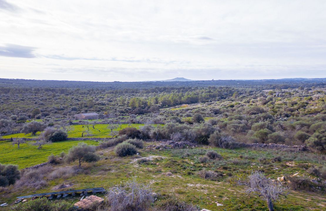 Terreno en venta en Santa Margalida, Mallorca – con proyecto básico