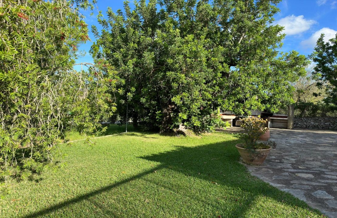 Alquiler de larga estancia en Pollensa Mallorca, casa de campo con piscina y jardín