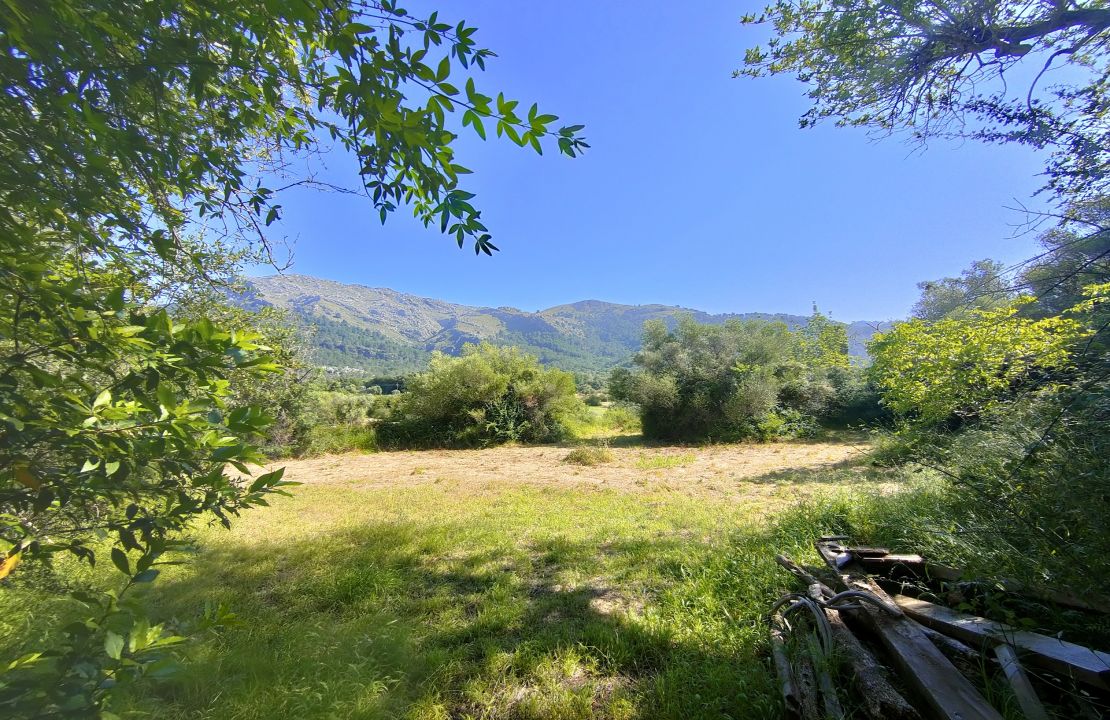 Projekt für ein charmantes Haus in der Nähe von Pollensa, umgeben von Natur.