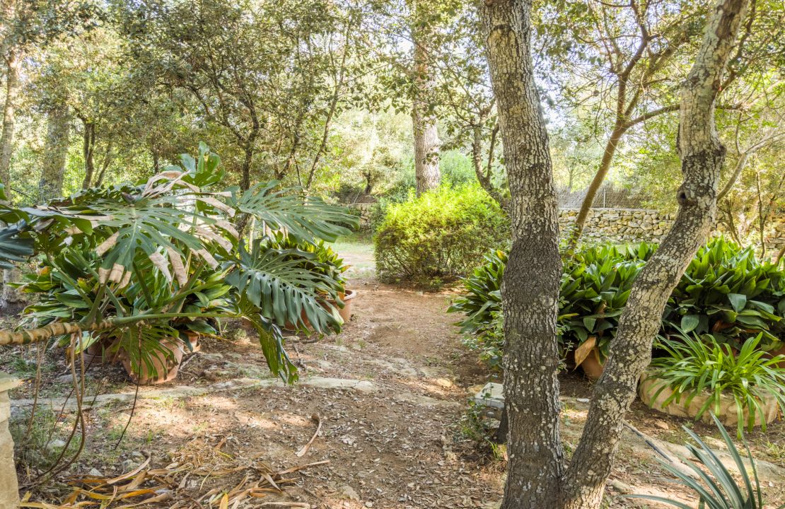 Finca con ETV y piscina en venta en Pollenca, Mallorca