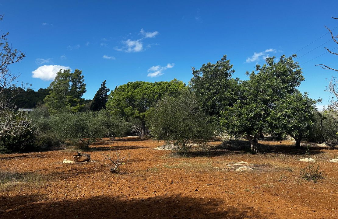 Finca bei Pollensa zu verkaufen