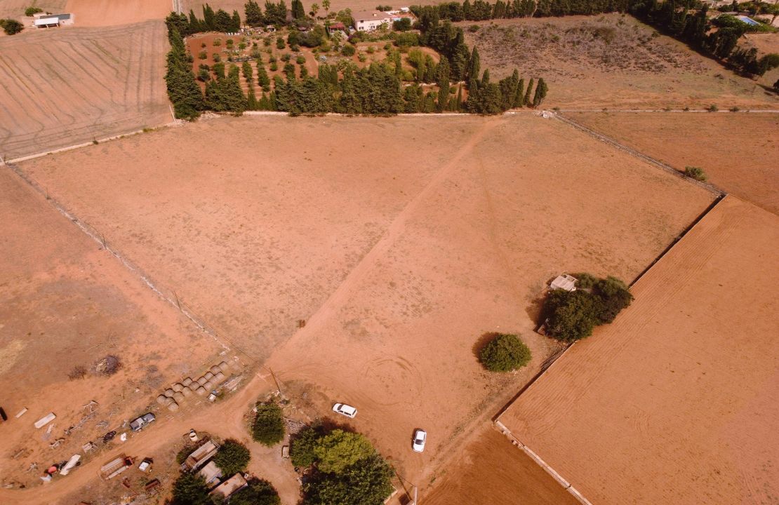 Terreno edificable en venta en Muro, Mallorca