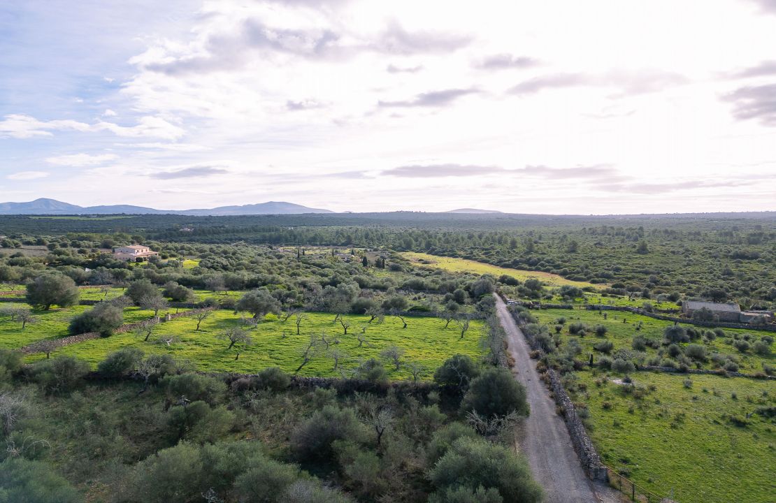 Terreno en venta en Santa Margalida, Mallorca – con proyecto básico