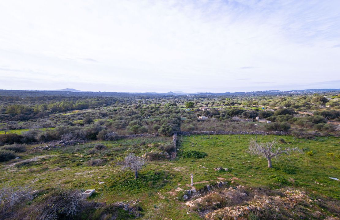 Terreno en venta en Santa Margalida, Mallorca – con proyecto básico