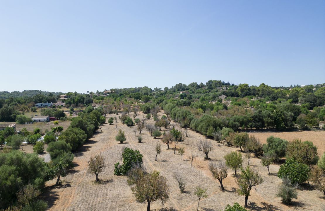 Terreno edificable en el campo de Campanet en venta con licencia en vigor para empezar el proyecto