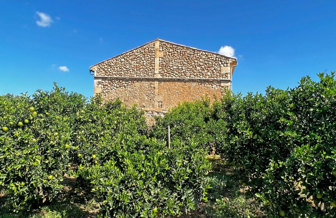 Traditionelles Finca-Projekt auf Mallorca, Maria de la Salut.