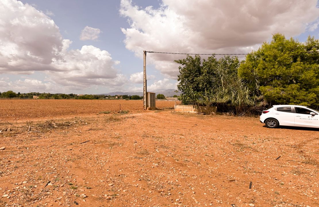 Terreno edificable en venta en Muro, Mallorca