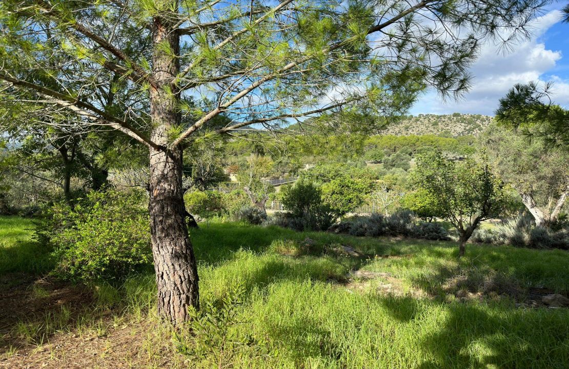 Langfristige Vermietung in Pollensa Mallorca, Landhaus mit Pool und Garten