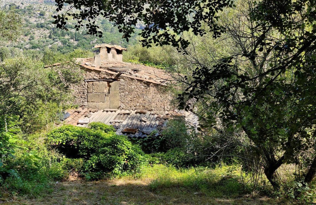 Projekt für ein charmantes Haus in der Nähe von Pollensa, umgeben von Natur.