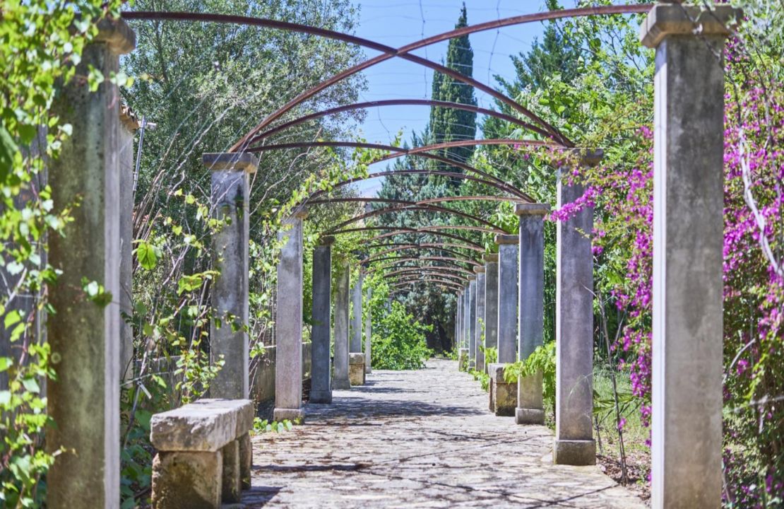 Charming rustic property for sale in Pollensa, Mallorca with pool, 2 houses, and vast land